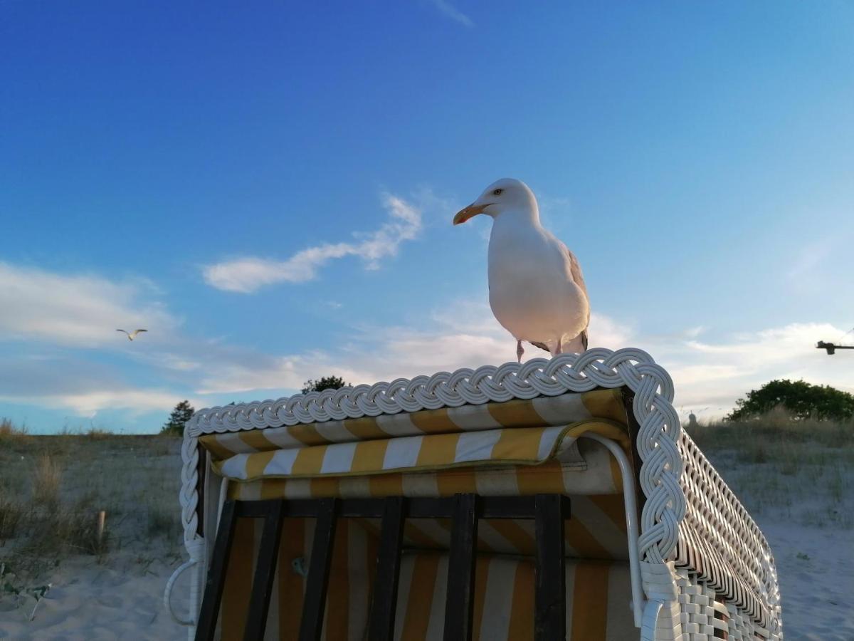 Ferienwohnung Strandburg Χέρινγκσντορφ Εξωτερικό φωτογραφία